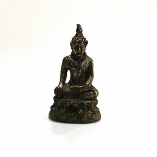 Будда Шакьямуни - Магазин эзотерических товаров "Энергия Ци"