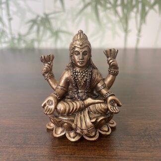 Лакшми мини Лакшми мини