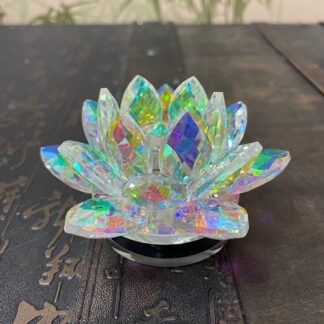 Лотос цветной нежный