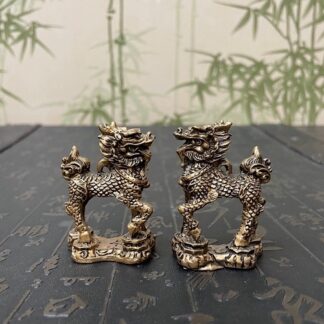 Цилини пара мини