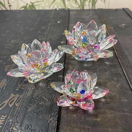 Лотос цветной яркий Лотос цветной яркий — изображение 5