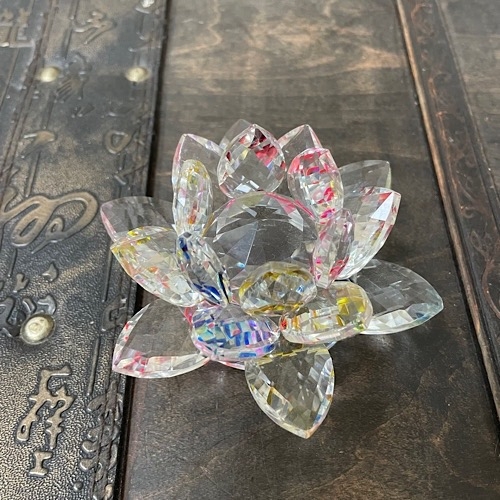 Лотос цветной яркий Лотос цветной яркий — изображение 3