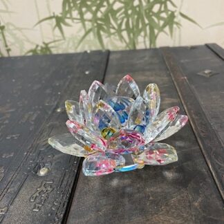 Лотос цветной яркий