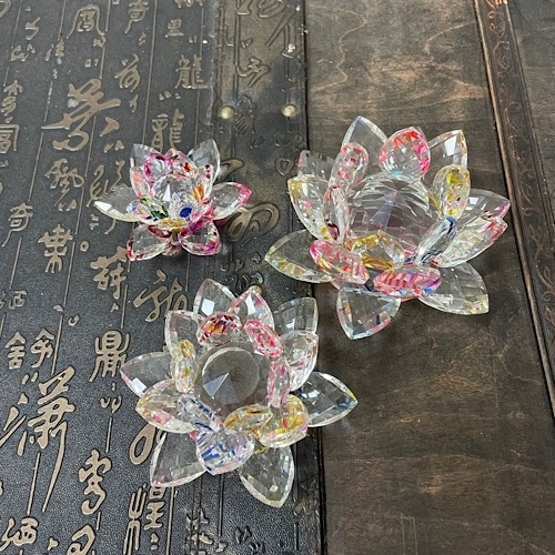 Лотос цветной яркий Лотос цветной яркий — изображение 6