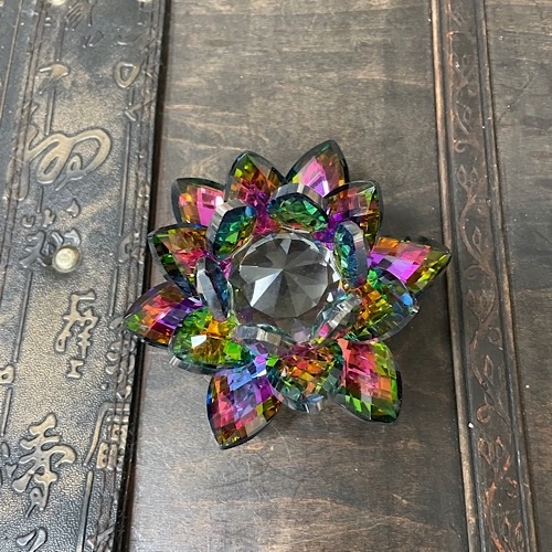 Лотос цветной Лотос цветной — изображение 6