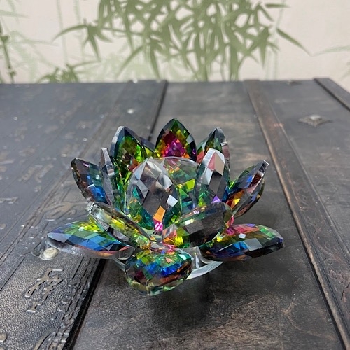 Лотос цветной Лотос цветной — изображение 5