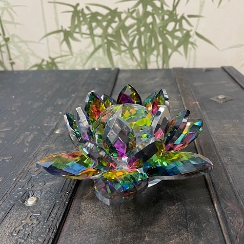 Лотос цветной Лотос цветной — изображение 3