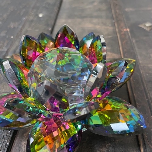 Лотос цветной Лотос цветной — изображение 2