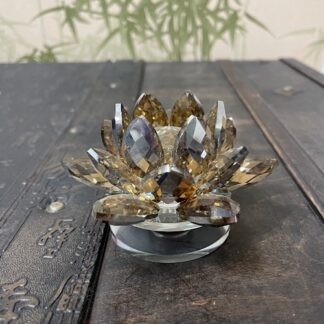 Лотос коричнево-золотой