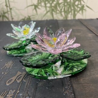 Лотос с кувшинками