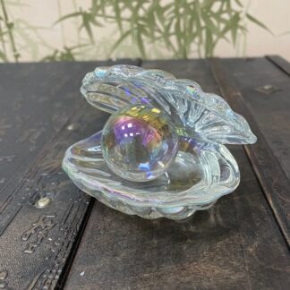 Ракушка с жемчужиной